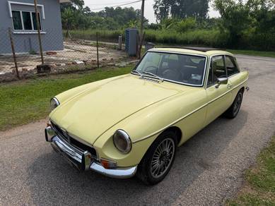 Mg1100 1.1 (M)