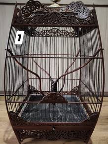 sangkar burung butterfly 
