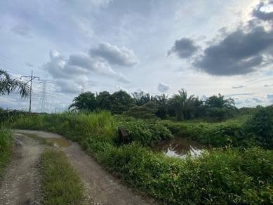 Tanah Pertanian Sungai Sedu, Mukim Tanjung 12, Kuala Langat