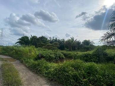 Tanah Pertanian Sungai Sedu, Mukim Tanjung 12, Kuala Langat