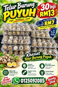 Telur Burung Puyuh