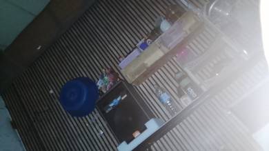 speaker Bluetooth 12 in