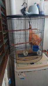 Bird Cage 23"