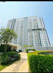 Setia Tri-angle