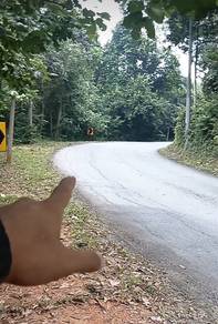 Agricultural-Land-for-sale-Kuala-Kangsar-Perak