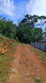 Plam Oil Agriculture Land Ayer Paabas, Alor Gajah, Malaka For Sale.