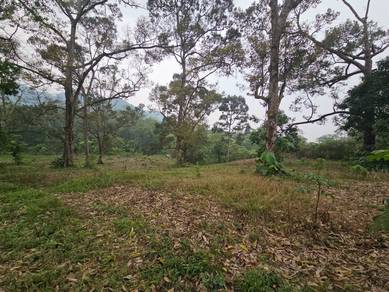 Agricultural-Land-for-sale-Pekan-Nanas-Johor-1