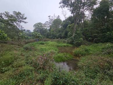 Agricultural-Land-for-sale-Pekan-Nanas-Johor-3