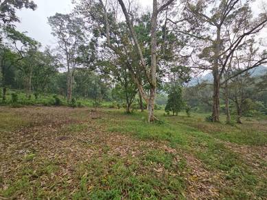 Agricultural-Land-for-sale-Pekan-Nanas-Johor-2