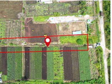 Agricultural-Land-for-sale-Telok-Panglima-Garang-Selangor