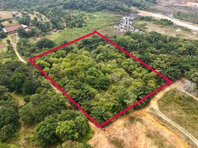 Agricultural-Land-for-sale-Shah-Alam-Selangor