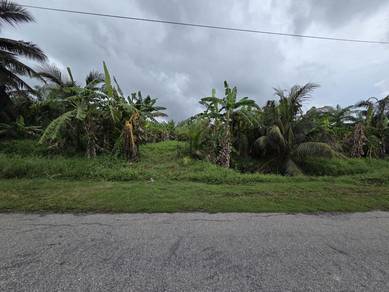 Tanjong Karang ,1 acre agriculture land for sale, near town.