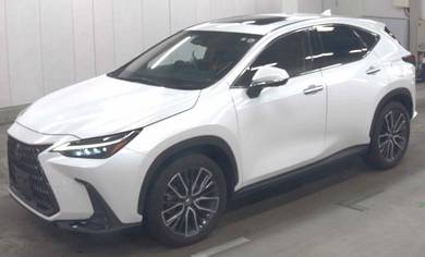 Lexus NX250 2.5 LUXURY