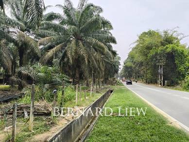 11.844ac Sg Lembu Roadside 1st Grade Oil Palm Land FOR SALE