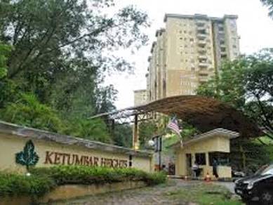 Ketumbar Heights