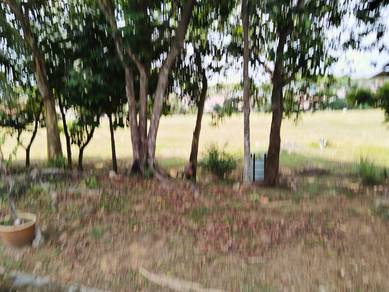 1-storey-Terraced-House-for-sale-Saujana-Utama-Selangor