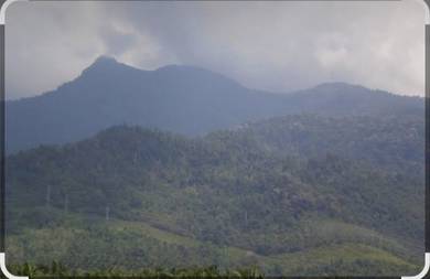 Tanah Bukit kaki gunung Jerai untuk dijual (4 ekar)