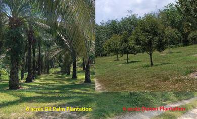 12 Acres -Agriculture Land at Durian Tipus, Simpang Durian, Jelebu, N9