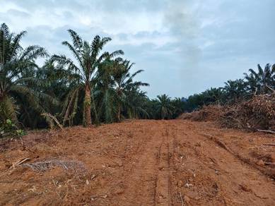 1 acre @ Taman Pasir Panjang, kampung Bukit Tembok, Port Dickson, N9