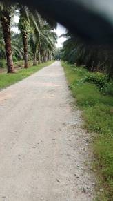 10 Acres Oil Palm Estate for Sale – Sungai Nipah, Port Dickson