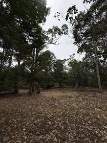 Bekok Rubber land with durian trees for sales