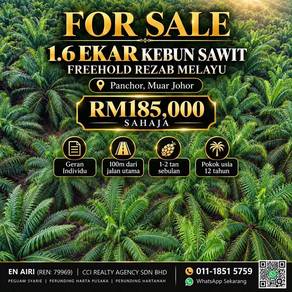 1.6 EKAR FREEHOLD REZAB MELAYU | KEBUN SAWIT 12 TAHUN | Pachor Pagoh