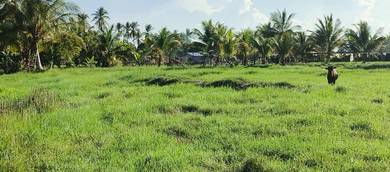 Residential-Land-for-sale-Tumpat-Kelantan