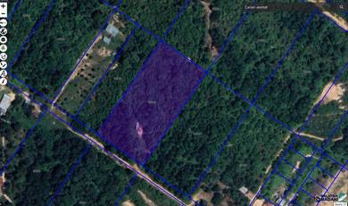 Agricultural-Land-for-sale-Puncak-Alam-Selangor