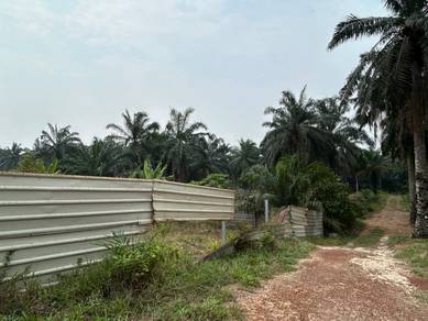 Tanah sawit dan kebun batu anam segamat