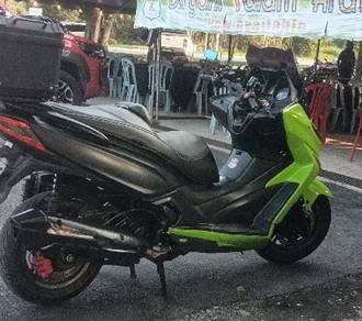 elegan 250 2017