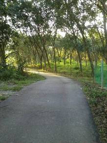 Vacant Land at Pekan Dangi, Kuala Pilah