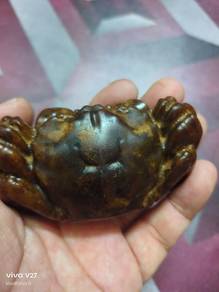 fossil ketam unik