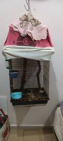 2 Pasang Suger Glider untuk dilepaskan