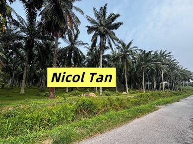 Land-for-sale-Nibong-Tebal-Penang
