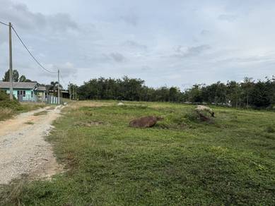 tanah untuk dijual kok lanas