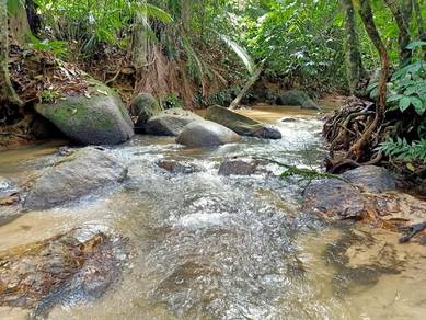 Freehold Agri Land Next To Waterfall Raub 1hr from KL