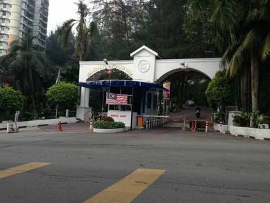 Venice Hill