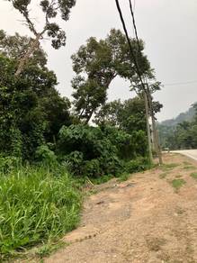Tanah Pertanian Untuk Disewa