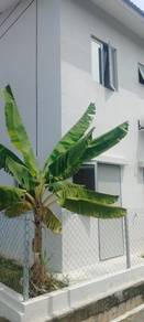 Rumah Salak Tinggi_Baru VP