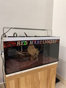 Aquarium