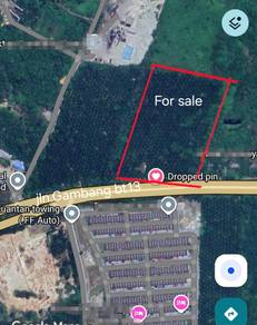 Palm Oil Plantation 10 Acres Main Road Side Kuantan