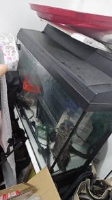 Akuarium untuk dijual