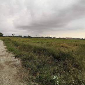 Agricultural-Land-for-sale-Nibong-Tebal-Penang