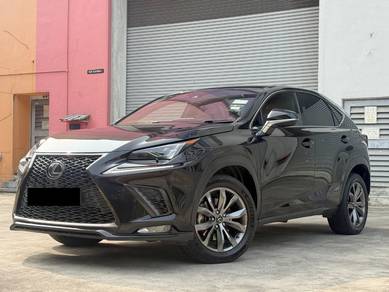 2019 Lexus NX300 2.0 F SPORT (A)