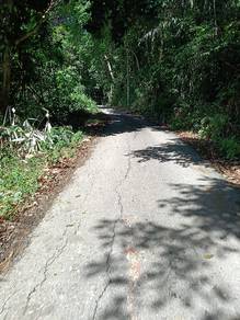 Agricultural-Land-for-sale-Gua-Musang-Kelantan