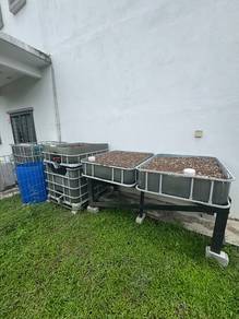 Aquaponics system
