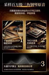 Hailun H-305 PIANOVA Digital Piano