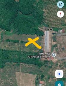 Agricultural-Land-for-sale-Bukit-Kayu-Hitam-Kedah