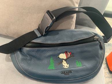 Coach Pouch Bag
