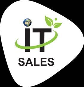 IT Sales Assistent Helper